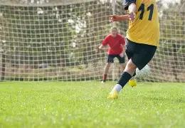 东盟游客西,双版纳免签,游热潮不断,pg游戏官网登录入口,PG电子最新官网,pg游戏官网登录入口,pg电子游戏app