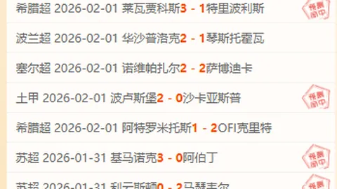 澳男足23人阵容揭晓：古德温领队，华裔新星蒂格加盟